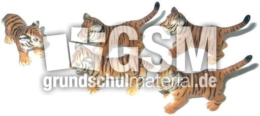Tiger-1+4.jpg